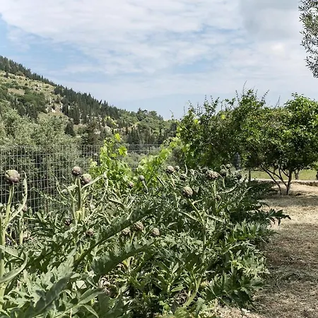 Evaggelatos * Ληξούρι