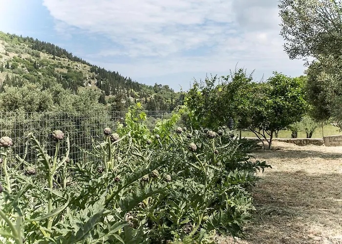 Evaggelatos * Lixouri